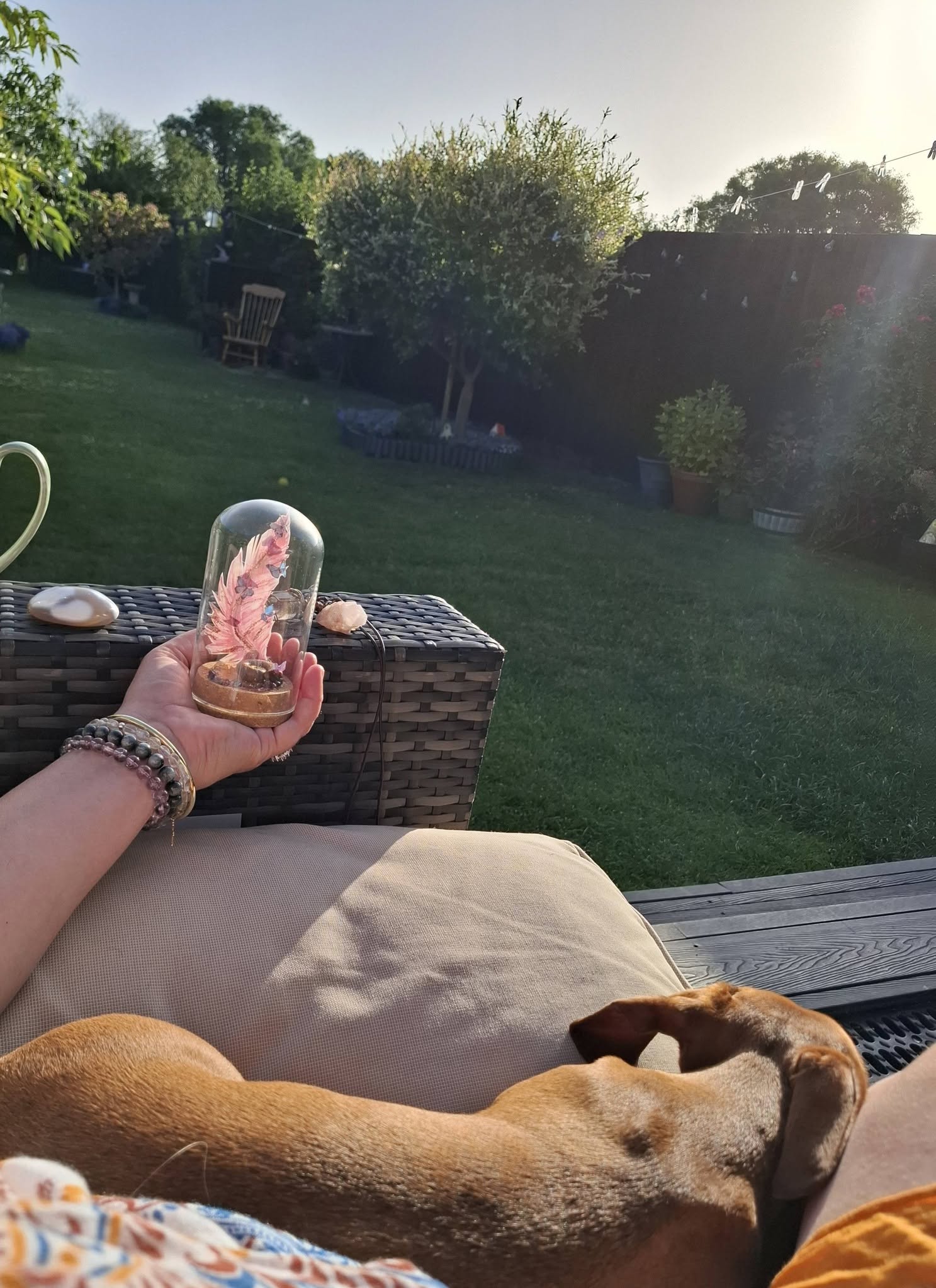 A glass dome with a pink feather